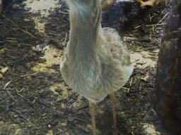 Tiergarten Schönbrunn am 24.02.2026